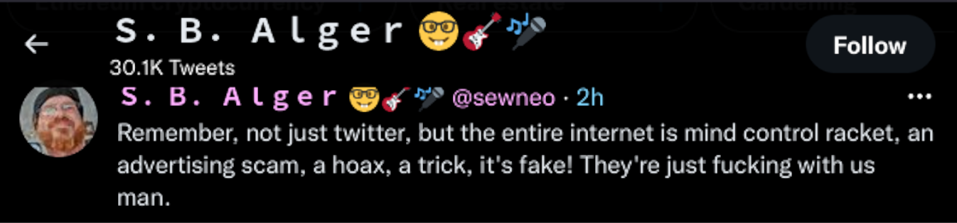 Twitter: @sewneo (S.B. Alger):  "Remember, not just twitter, but the entire internet is mind control racket, an advertising scam, a hoax, a trick, it's fake! They're just fucking with us man."