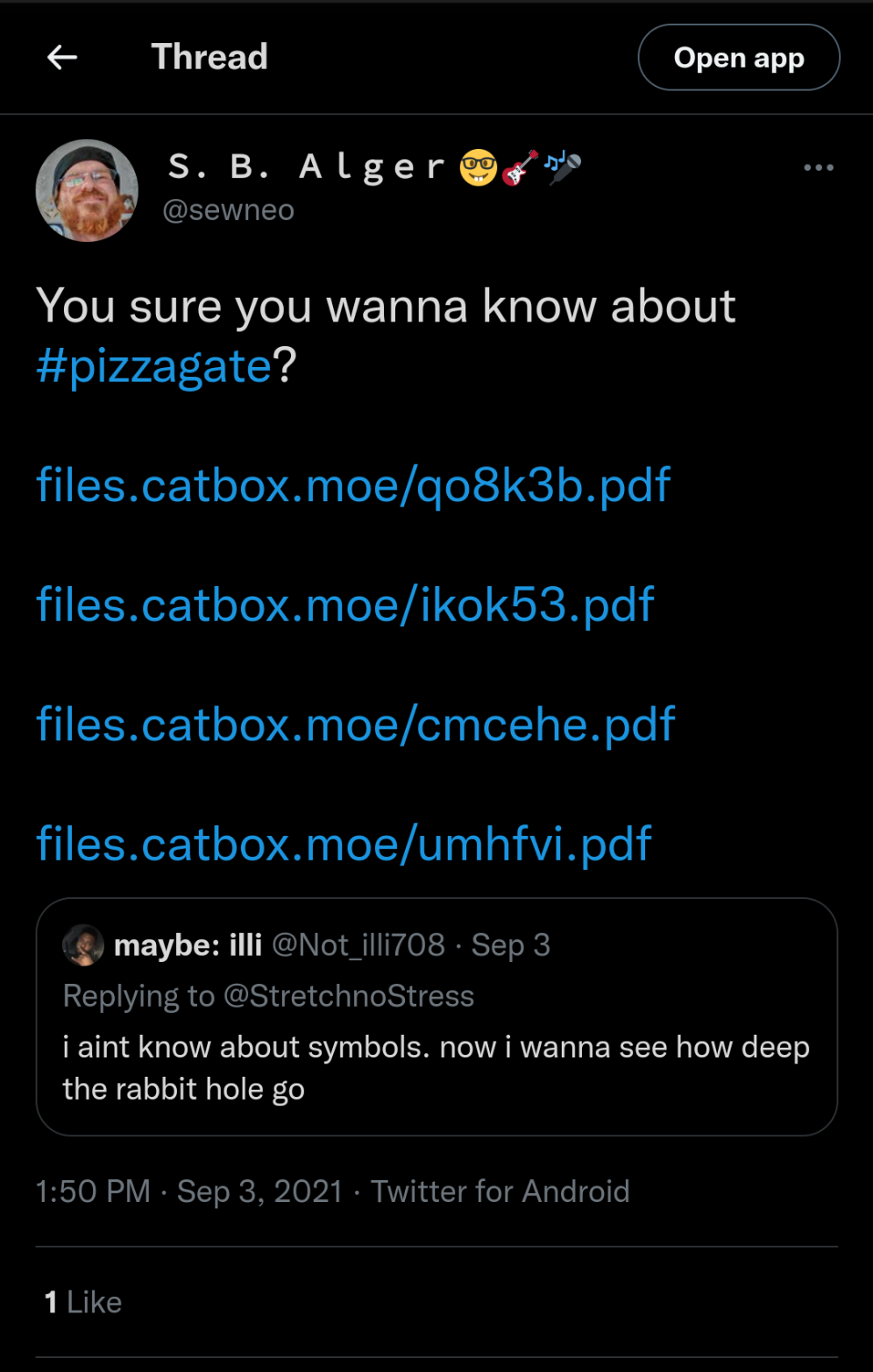 Twitter, S.B. Alger @sewneo:  You are sure you wanna know about #pizzagate? ...  Quoting maybe:illi @Not_illi708 [bot]:  Relying to @StretchnoStress:  "i aint know about symbols. now i wanna see how deep the rabbit hole go"
